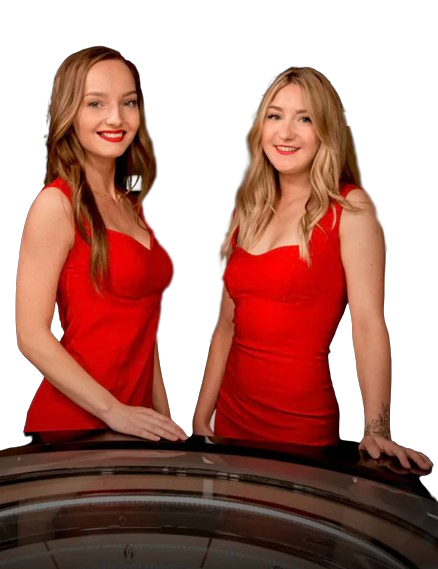 HoGaming là một trong những nhà cung cấp phần mềm casino được liệt kê trong cơ sở dữ liệu đối tác của GamingSoft – GamingSoft