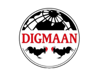 Digmaan 是其中一家列示在乐游国际GamingSoft供应商数据库里的博彩软件提供商 - 乐游国际GamingSoft