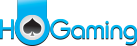 Ho Gaming 真人娱乐场软件供应商 - 乐游国际GamingSoft 