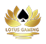 GamingSoft