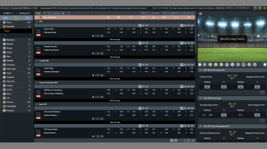 Basketball is a sportsbook Provided by the Vendor Partner 3Sing - GamingSoft