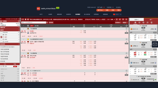 篮球 是一款体育博彩软件由合作伙伴 Inplay Matrix 所提供 - 乐游国际GamingSoft