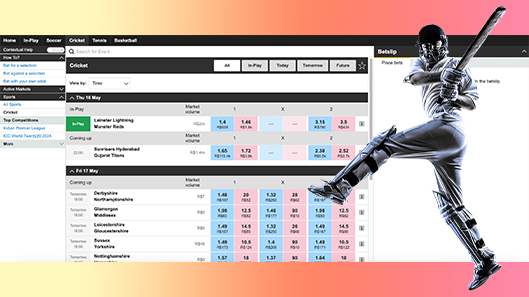 The Cricket Game From Bfun Sports