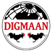Digmaan 是其中一家列示在乐游国际GamingSoft供应商数据库里的博彩软件提供商 - 乐游国际GamingSoft
