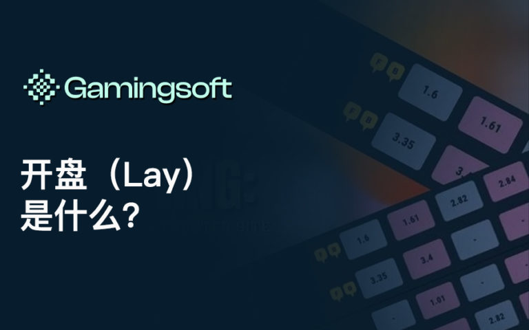 Lay Betting Explained CN